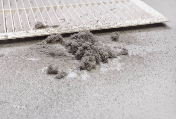 Best Affordable HVAC Duct Cleaning  in Spring Valley Lake, CA