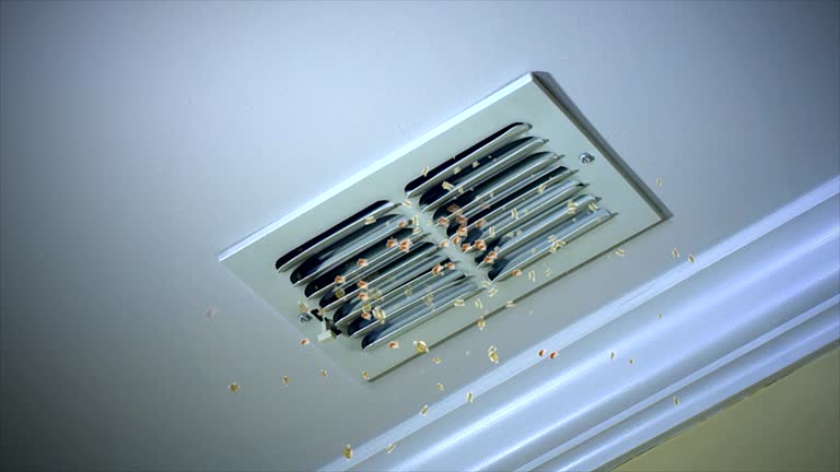 Best HVAC Duct Inspection Services  in Spring Valley Lake, CA