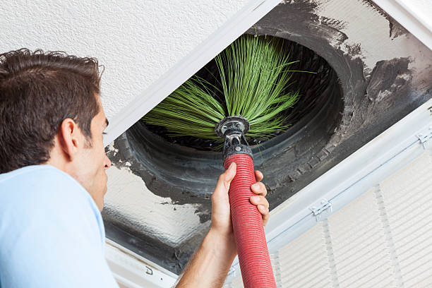 Best Affordable Duct Cleaning Services  in Spring Valley Lake, CA